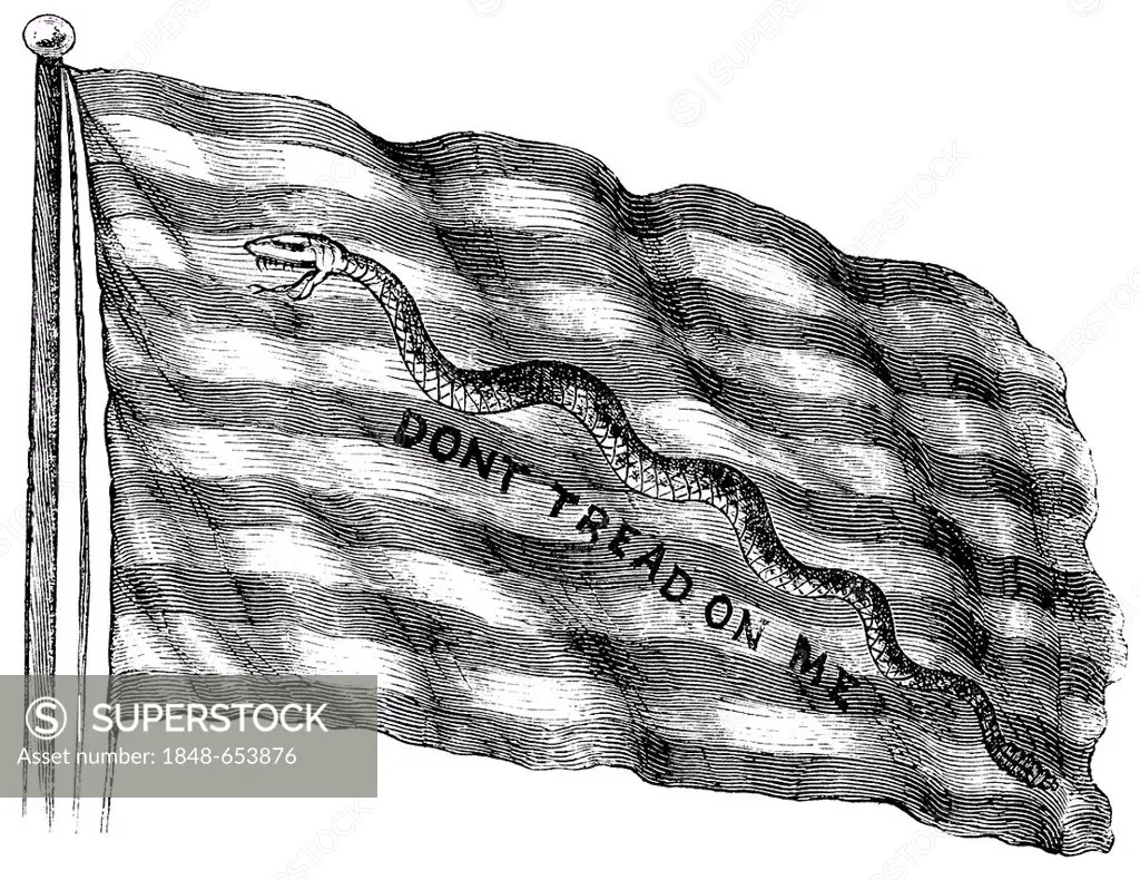 Historical drawing, US-American history, 18th century, the U.S. Navy flag, jack flag of ships, First Navy Jack, with the inscription DONT TREAD ON ME