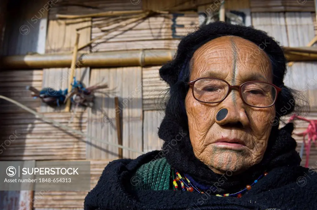 Old woman from the Apatani tribe, known for the pieces of wood in their nose to make them ugly, Ziro, Arunachal Pradesh, northeast India, India, Asia