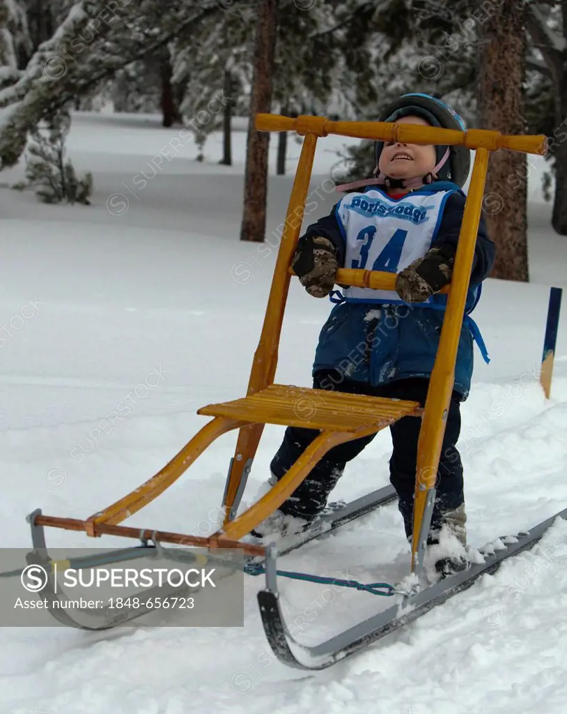 Young boy on a dog sled, kick sled, dog sledding, mushing, Carbon Hill dog sled race, Mt. Lorne, near Whitehorse, Yukon Territory, Canada