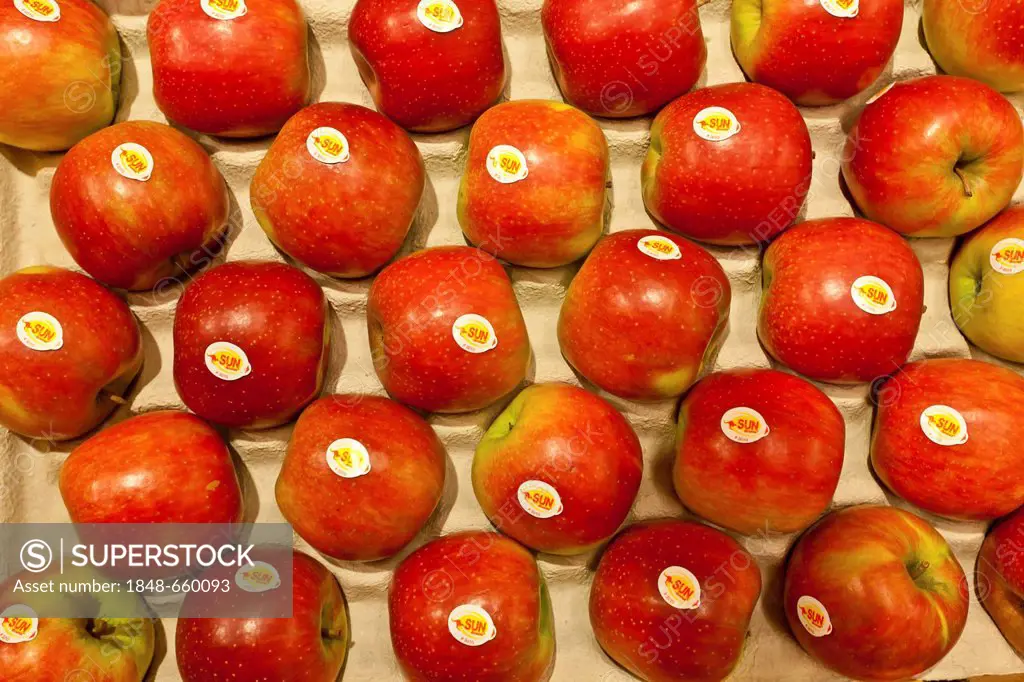 Fresh apples in crate at wholesale for fresh produce, fruits and vegetables, Frankfurt, Hesse, Germany, Europe