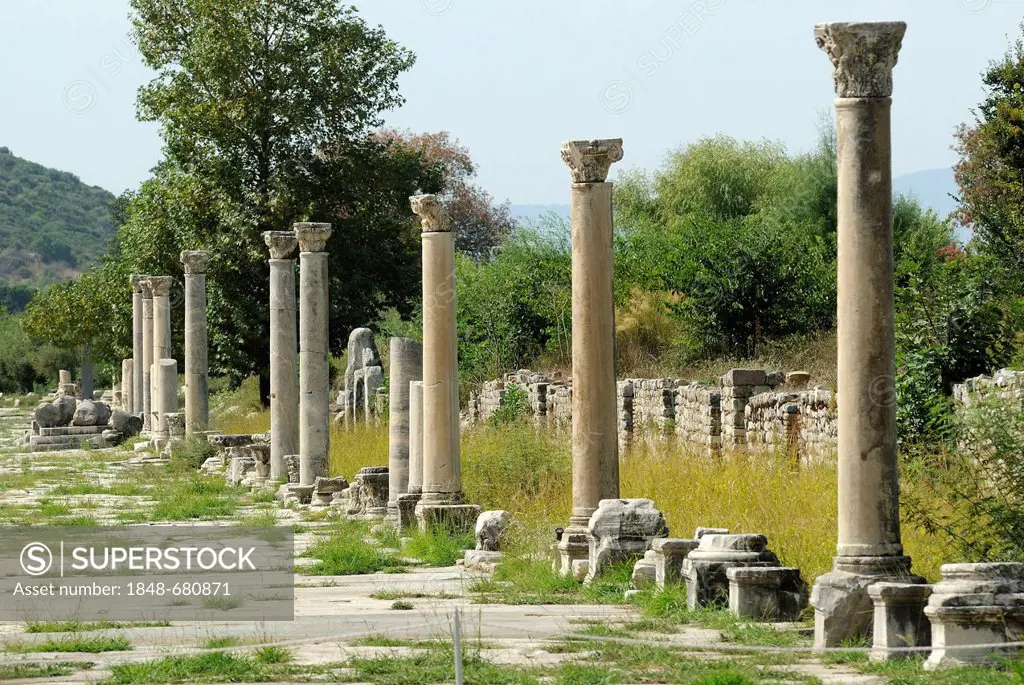 Ruins of Ephesus, Efes, excavations, UNESCO World Heritage Site, Harbour Street leading from the amphitheatre to the sea, Selcuk, Lycia, Southwest Tur...