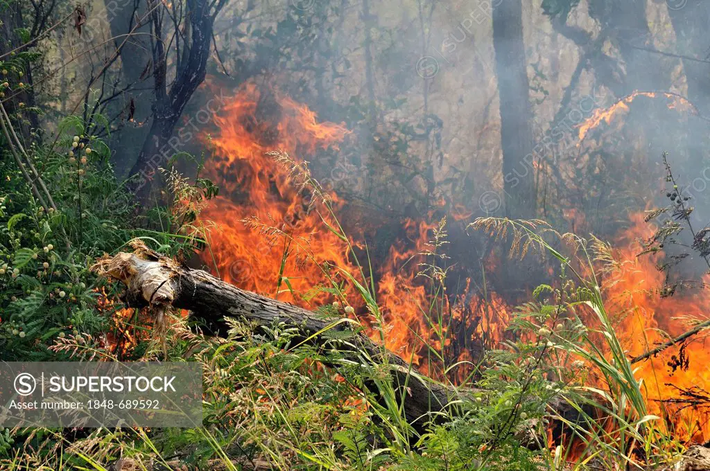 Deforestation by burning off for the recovery of arable land by