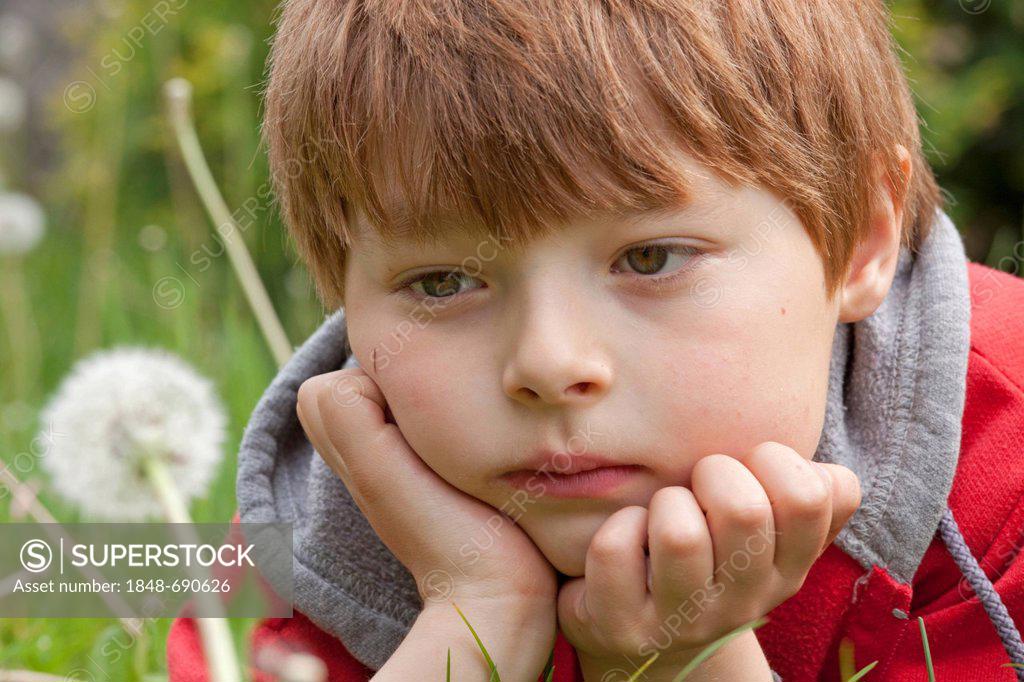 Little boy looking at a blowball - SuperStock