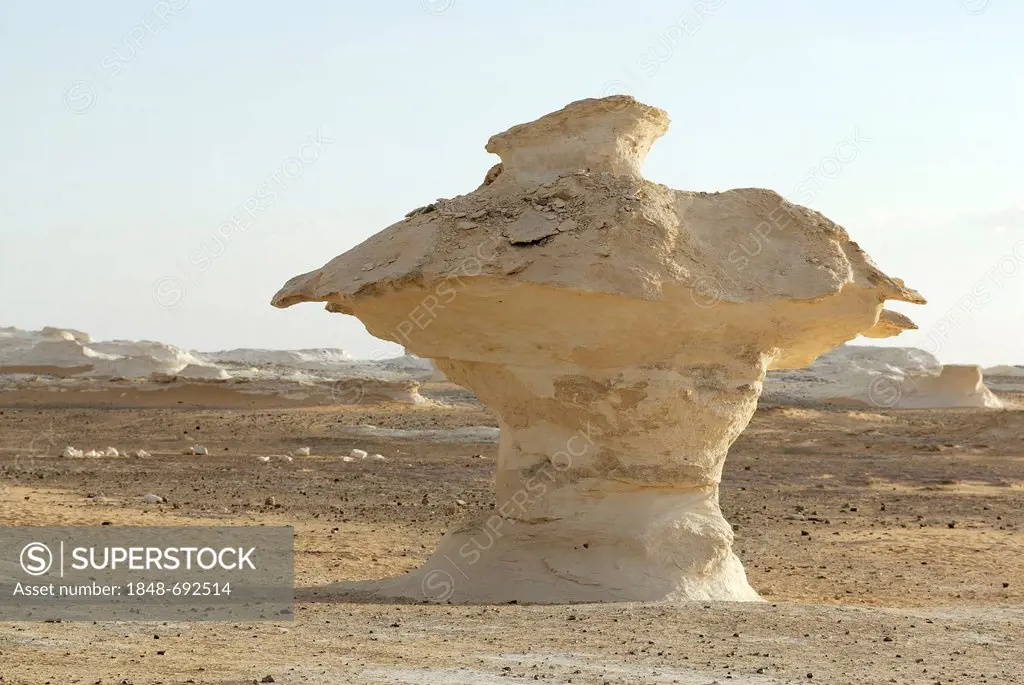 Mushroom-shaped limestone rock formation, White Desert, Farafra Oasis, Western Desert, Egypt, Africa