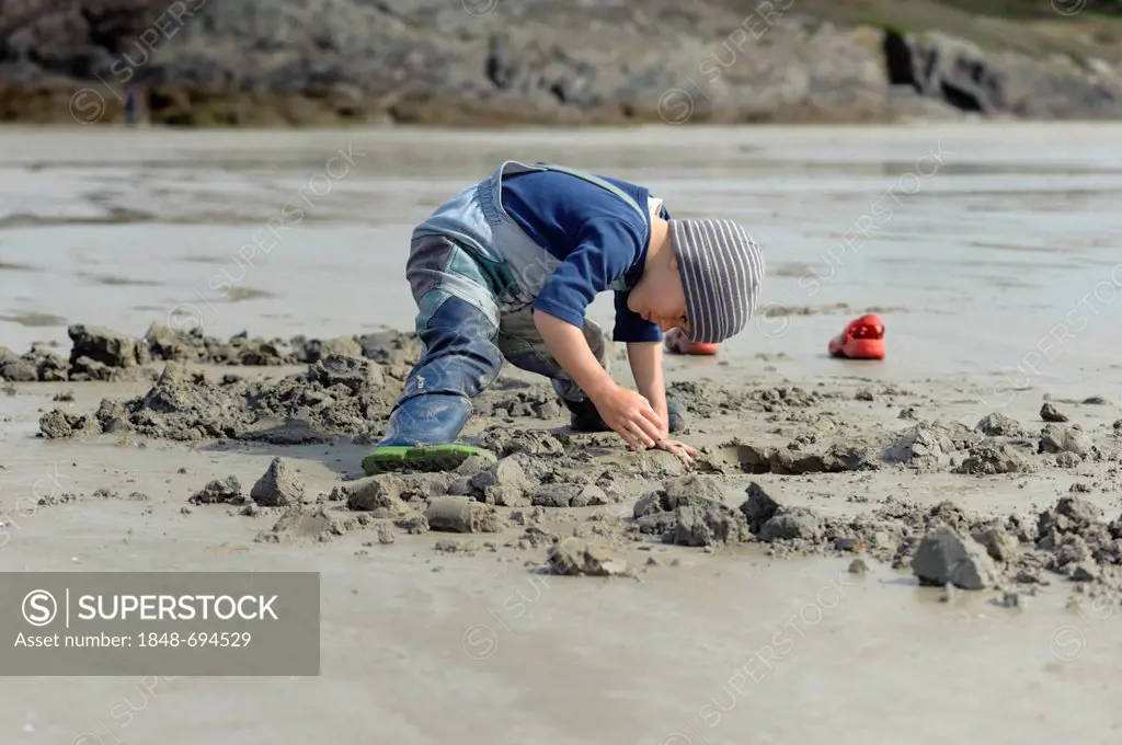 Young anglers digging for sandworms (Arenicola marina) on the beach, Atlantic Ocean, Finistere, Brittany, France, Europe, PublicGround