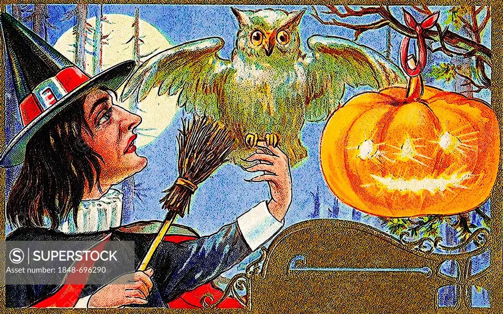 Lit carved pumpkin or Jack-o-lantern, white owl, Halloween, illustration