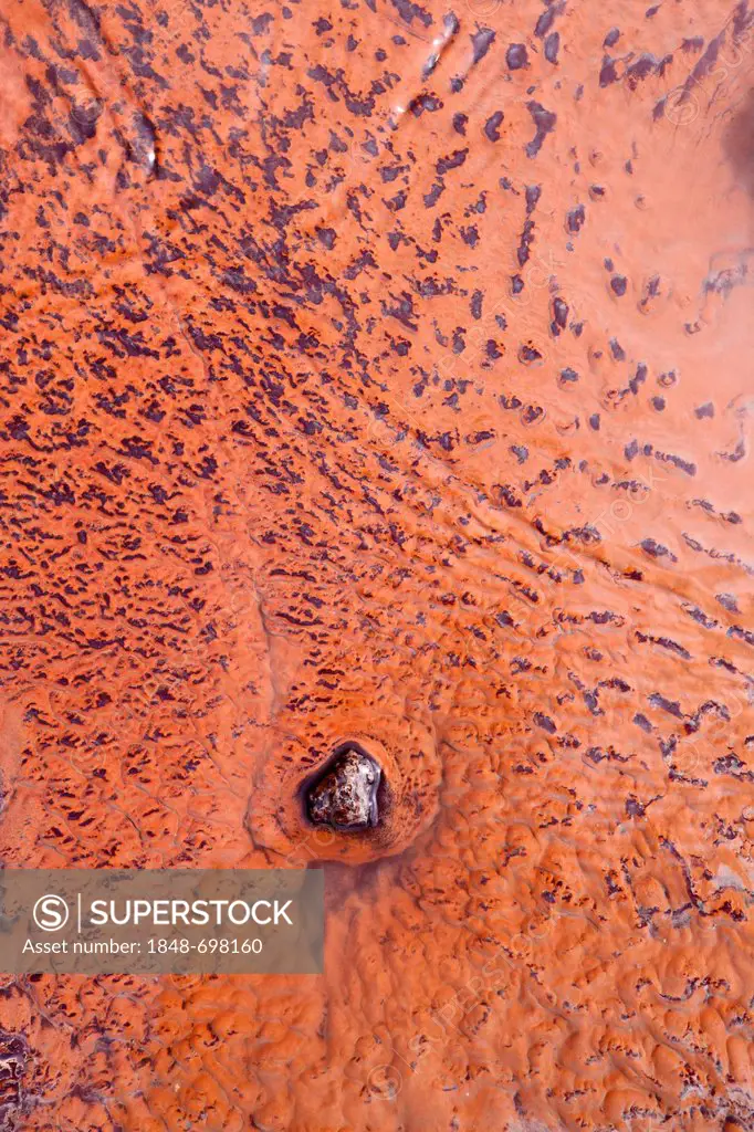 Detail of structures formed by algae, coloured minerals and water in the geothermal area of Hrafntinnusker, Highlands of Iceland, Europe