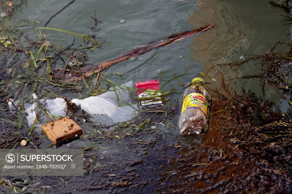 Garbage in the water, pollution, Venice, Venetia, Italy, Europe