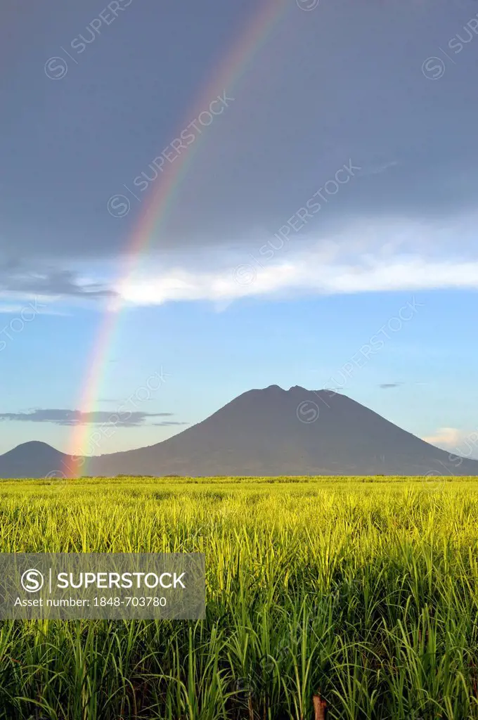 Sugar cane fields with rainbow, volcano Usulatan at back, El Salvador, Central America, Latin America