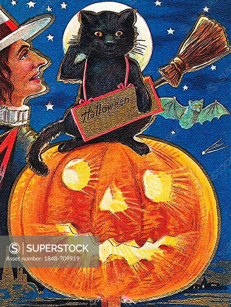 Witch and black cat sitting on a carved pumpkin or Jack-o-lantern, Halloween, illustration