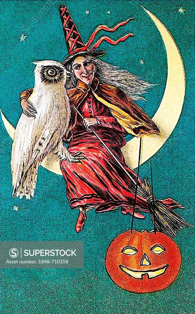 Witch sitting on the moon with a carved pumpkin or Jack-o-lantern, white owl, night, Halloween, illustration