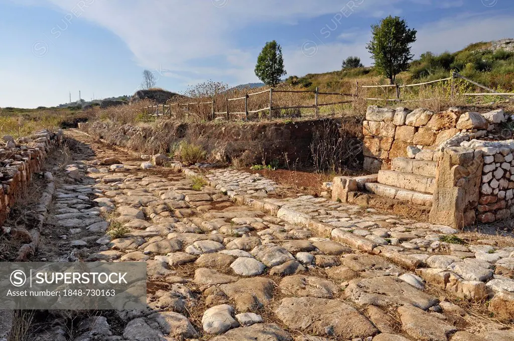 Cobblestone street with pavement and remnants of a house, archaeological site of the ancient Roman city of Norba, 4th Century BC, near Norma, Monti Le...