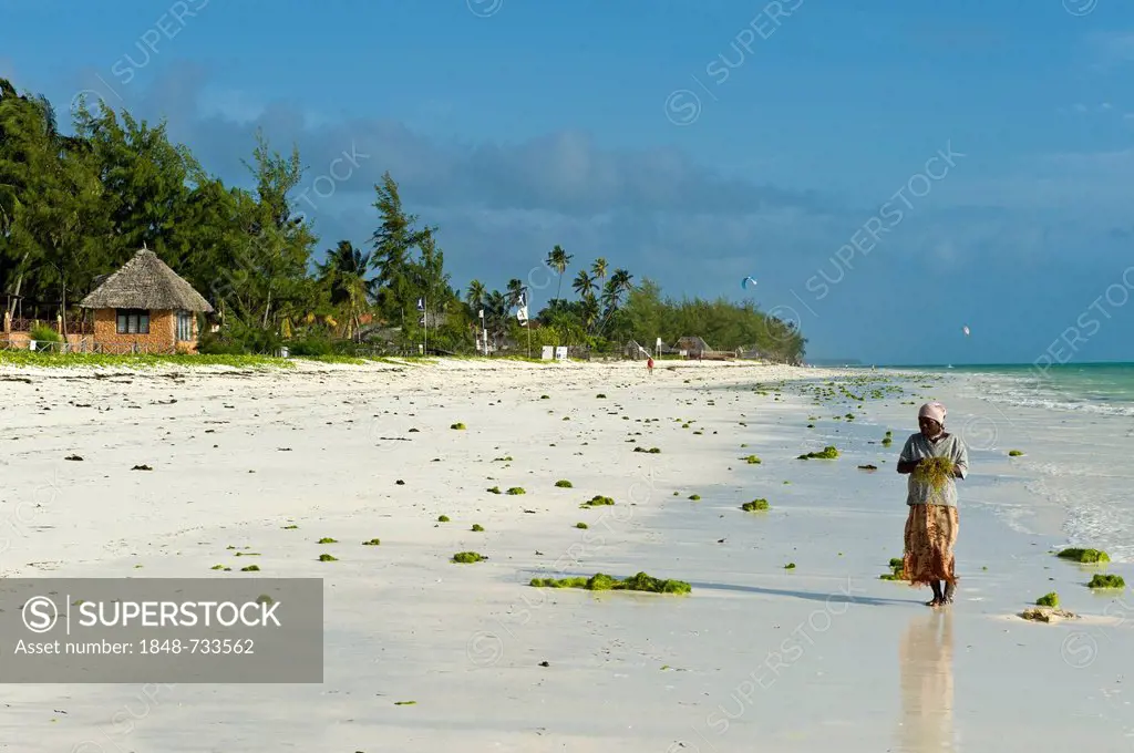 Local woman on the beach of Paje, Zanzibar, Tanzania, Africa