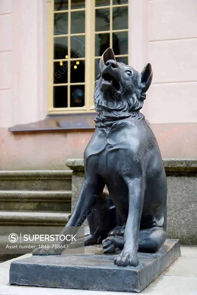 Wolfhound, sculpture in the entrance area, Jagdschloss Granitz hunting lodge, Ruegen Island, Mecklenburg-Western Pomerania, Germany, Europe