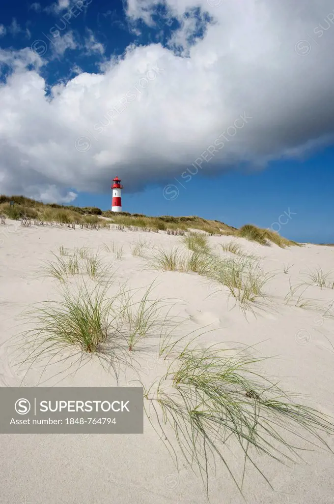 List-Ost lighthouse, Ellenbogen, Sylt, Schleswig-Holstein, Germany, Europe