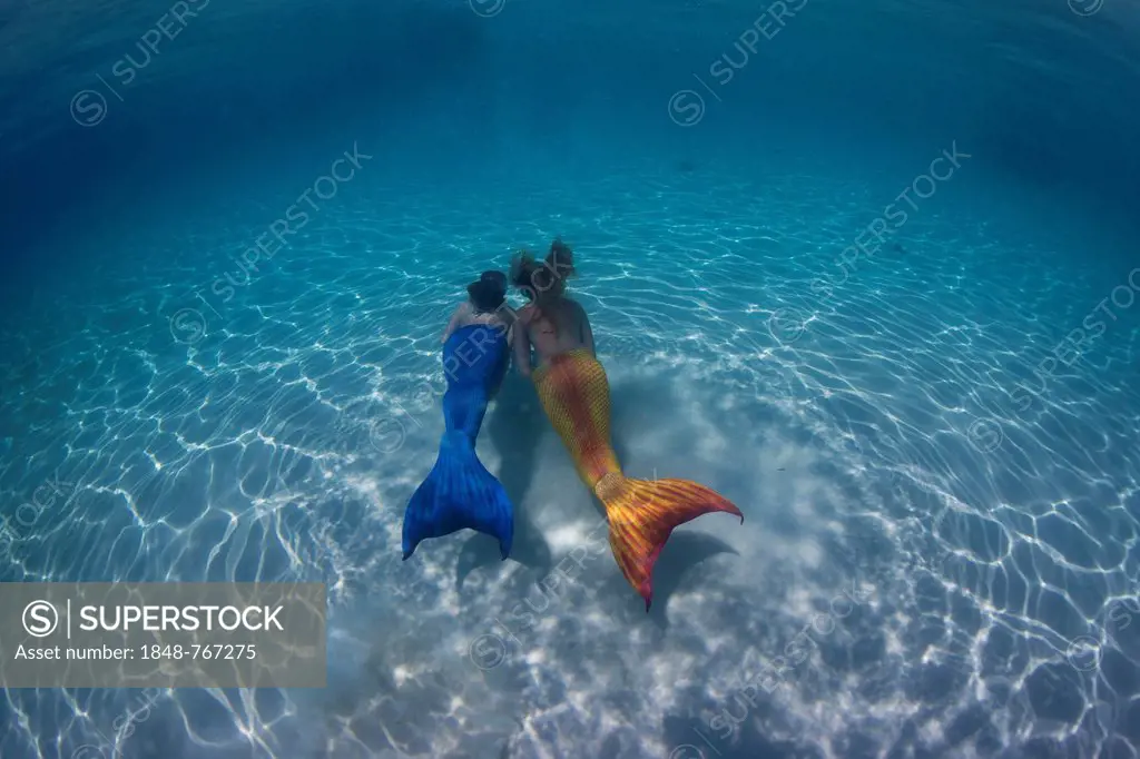 Mermaids, girls wearing mermaid costumes swimming in the shallow water of a lagoon, underwater