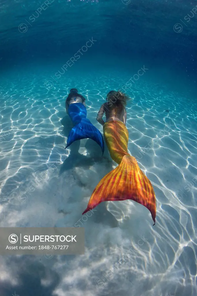 Mermaids, girls wearing mermaid costumes swimming in the shallow water of a lagoon, underwater