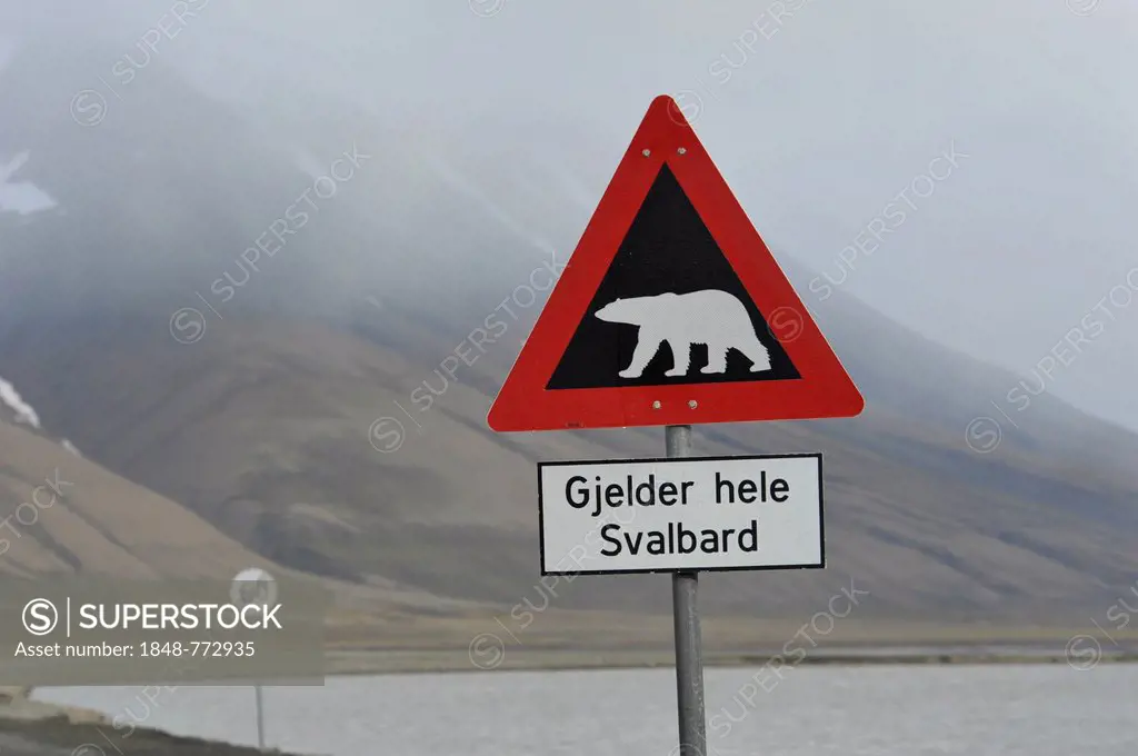 Polar bear warning sign