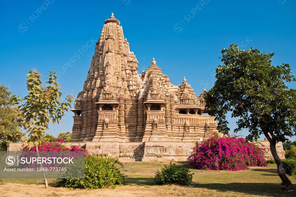 Hindu temple with flowering bougainvillea bushes, Kandariya Mahadeva Temple, Western Group, Khajuraho Group of Monuments, UNESCO World Heritage Site