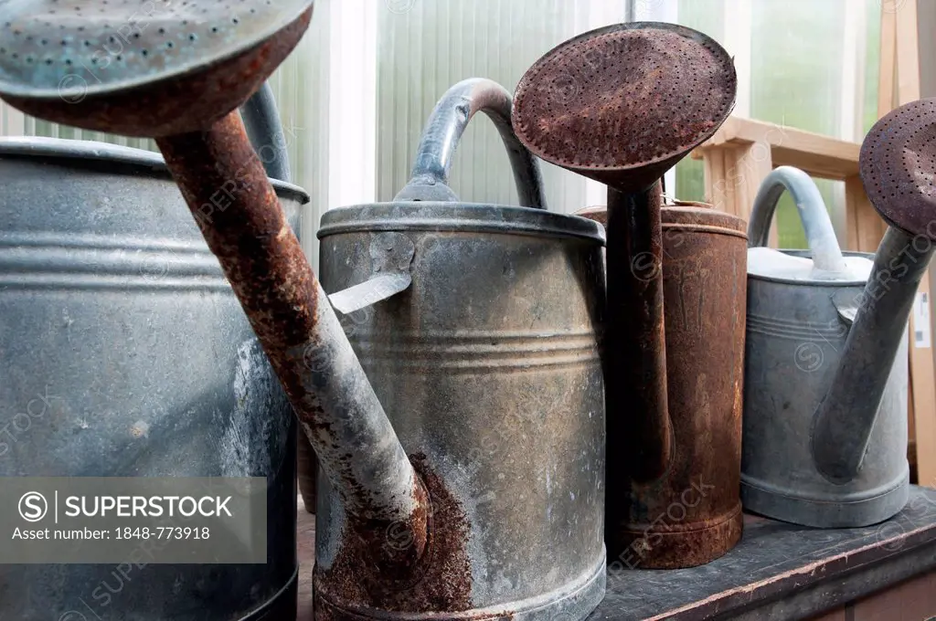 Watering cans made of galvanized sheet metal, rusty