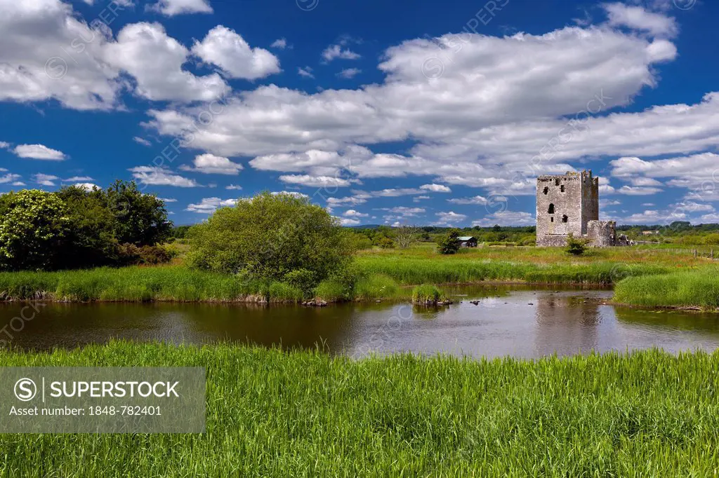 Ruins of Threave Castle on the River Dee