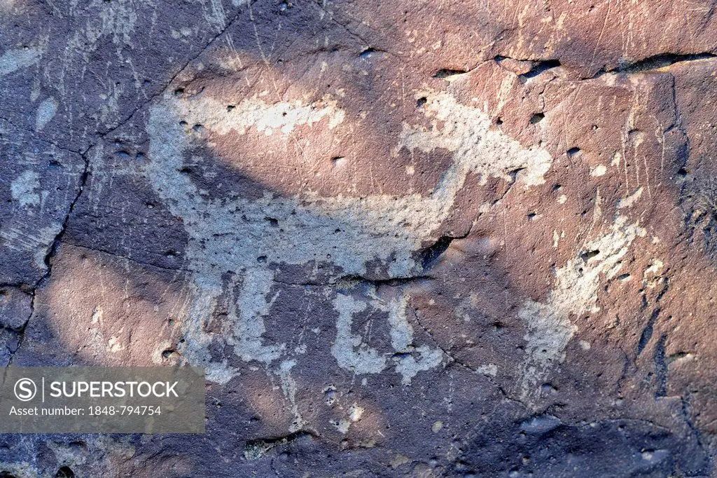 Petroglyphs, animal representation