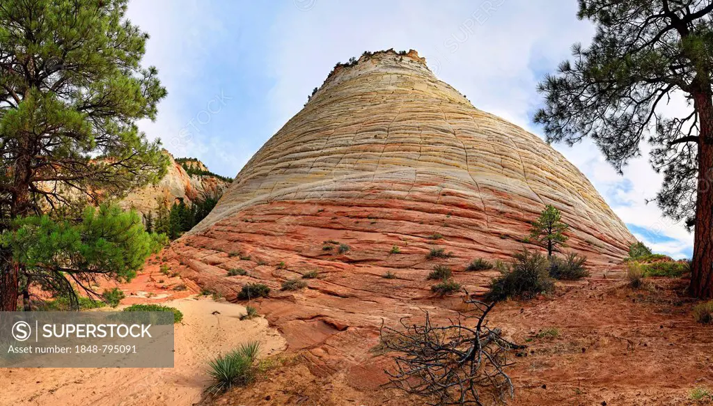 The Checkerboard Mesa, a table mountain, checkerboard patterns created by the erosion of Navajo sandstone rocks