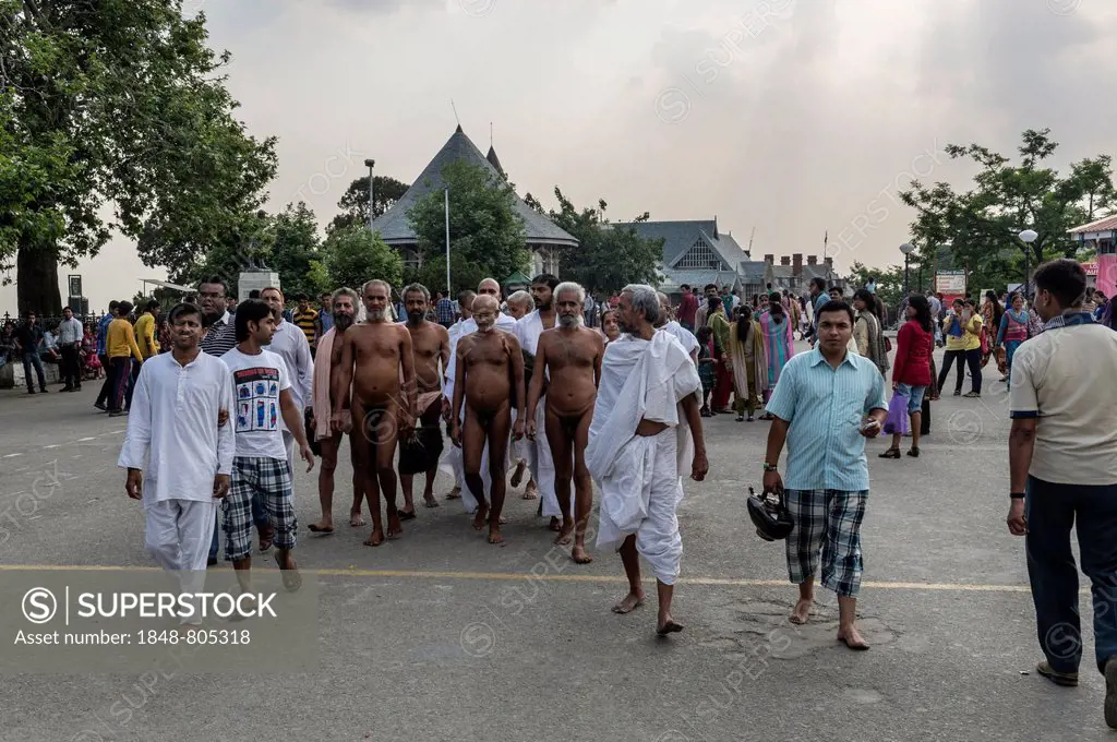 The very rare sight of a group of Jain monks walking naked on Mall Road, Shimla, Himachal Pradesh, India