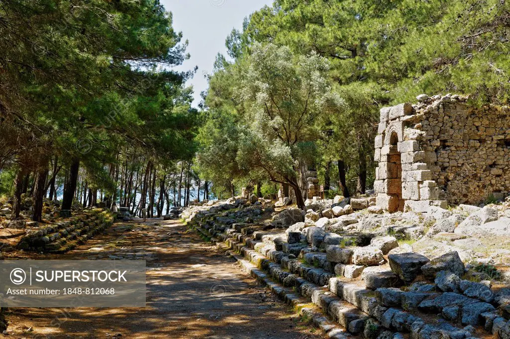 Boulevard, ancient city of Phaselis, Phaselis, Tekirova, Lycia, Province of Antalya, Turkey