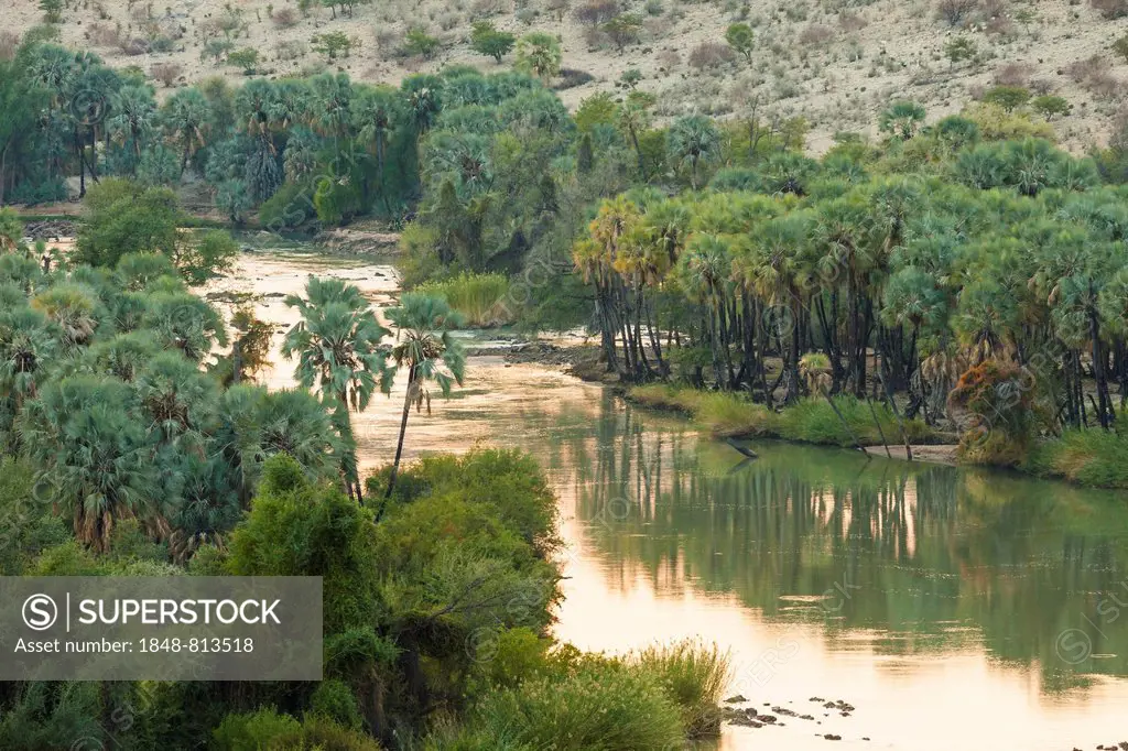 Kunene border river between Namibia and Angola, in the morning light, Kunene Region, Namibia