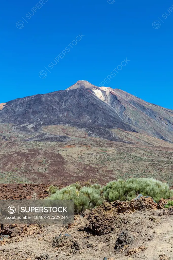 Pico del Teide, 3718 m, view from the Mirador Azulejos II viewpoint of the volcanic landscape of Las Canadas, Teide National Park, UNESCO World Herita...