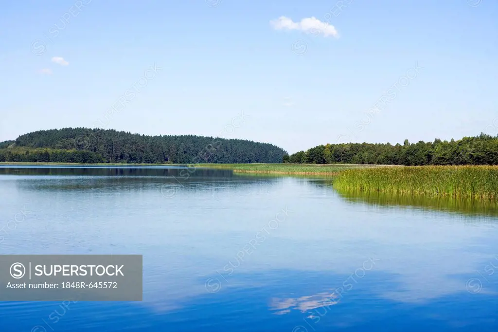 Wigry Lake, Piasky, Wigierski National Park, Poland, Europe