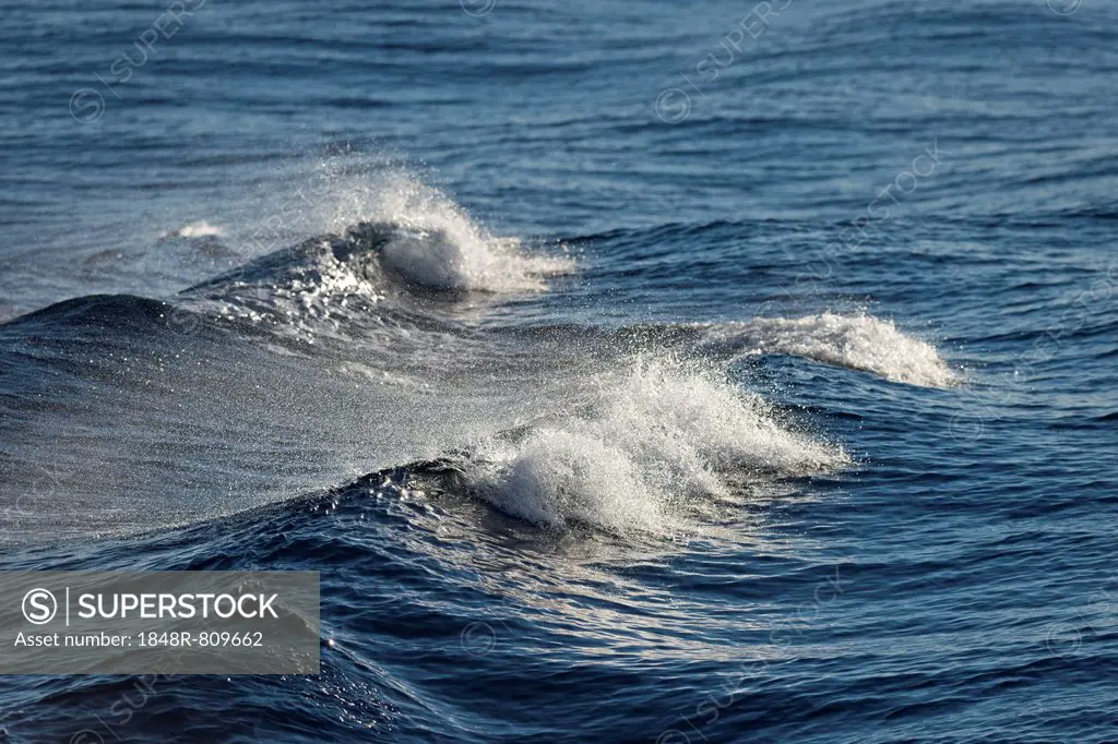 Waves, sea spray, Arctic Ocean, Spitsbergen Island, Svalbard Archipelago, Svalbard and Jan Mayen, Norway