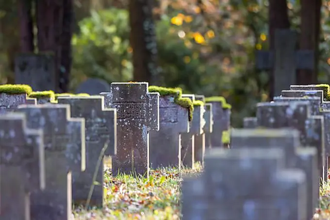 Cemetery for fallen soldiers of the world wars, symbolic photo for Remembrance Day. Stuttgart Forest Cemetery, Baden-Wuerttemberg, Germany, Europe