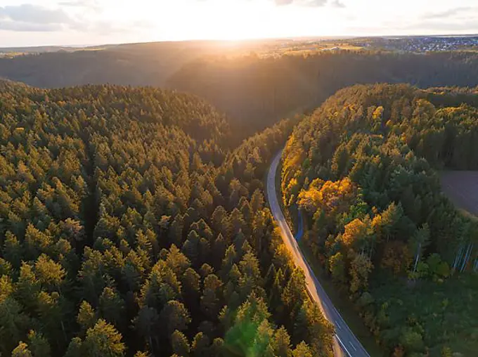 Road through the Black Forest at sunset, Holzbronn, Black Forest, Germany, Europe