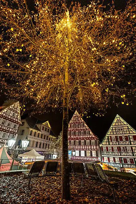 Illuminated tree at Christmas market at night, Calw, Germany, Europe