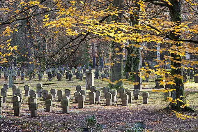 Cemetery for fallen soldiers of the world wars, symbolic photo for the days of remembrance in November. Stuttgart Forest Cemetery, Baden-Wuerttemberg, Germany, Europe