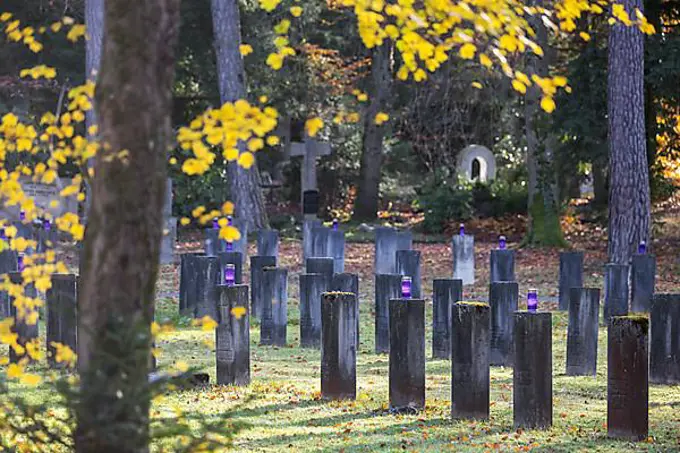 Cemetery for fallen soldiers of the world wars, symbolic photo for the days of remembrance in November. Stuttgart Forest Cemetery, Baden-Wuerttemberg, Germany, Europe