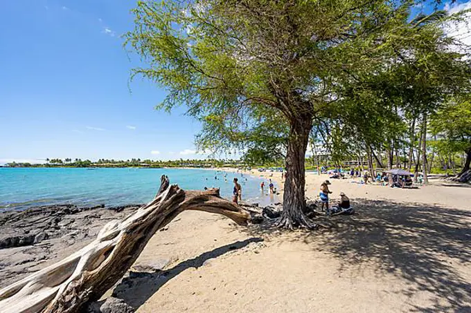 'Anaeho'omalu Beach, Waikoloa, Big Island, Hawaii, USA, North America