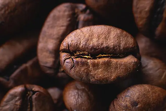 Extreme macro Coffee beans close up for background in shallow depth of field. macro photography