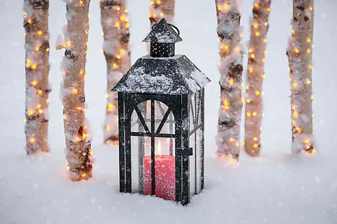 Lantern with illuminated birch logs outdoors