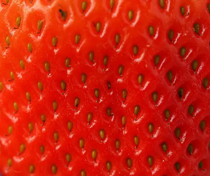 Fresh organic strawberries on a kitchen table, healthy food