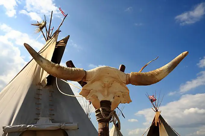 Indian tents in the foreground, the skeleton of a buffalo head, background blue sky and white clouds