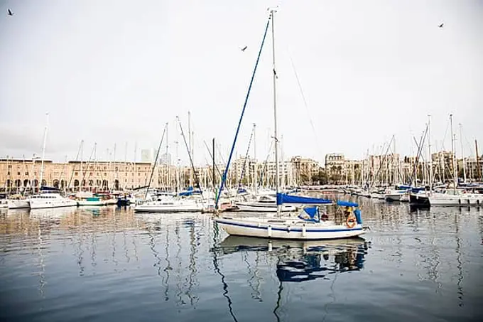 Barcelona Marina with town in the background, Spain, Europe