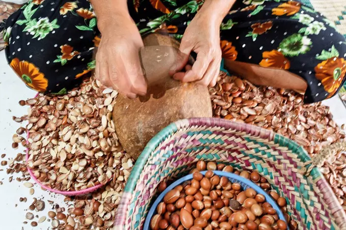 Woman pounding Argan (Argania spinosa) nuts with a stone to get the argan almonds, in the women cooperative Ajdique in Tidzi, near Essaouira, Morocco,...