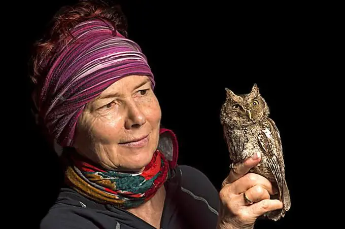 Ornithologist with Peru Screech Owl (Megascops roboratus) Jorupe Nature Reserve, Western Andes, Ecuador, South America