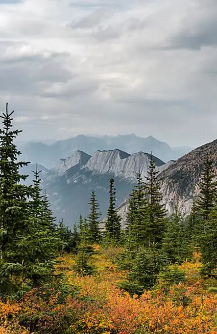 Striking mountain range, Ashlar Ridge, in autumn, Miette Hotsprings, Jasper National Park, British Columbia, Canada, North America