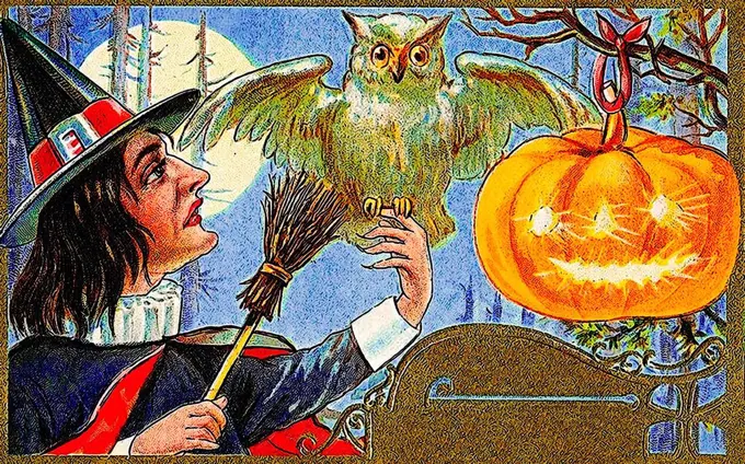 Lit carved pumpkin or Jack-o-lantern, white owl, Halloween, illustration