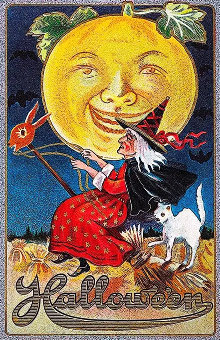 Witch on a broom with a white cat, a moon face, Halloween, illustration