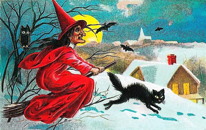 Witch on broomstick, black cat, winter landscape, Halloween, illustration